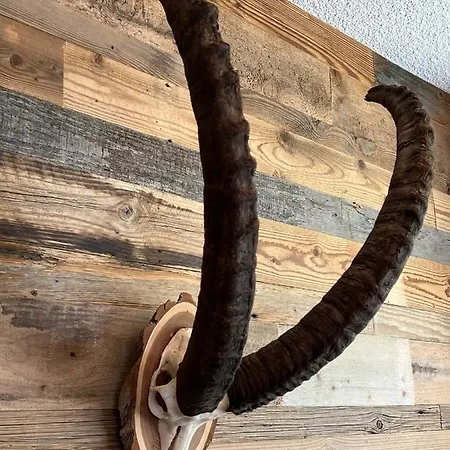 Casa Capricorn Appartamento Davos