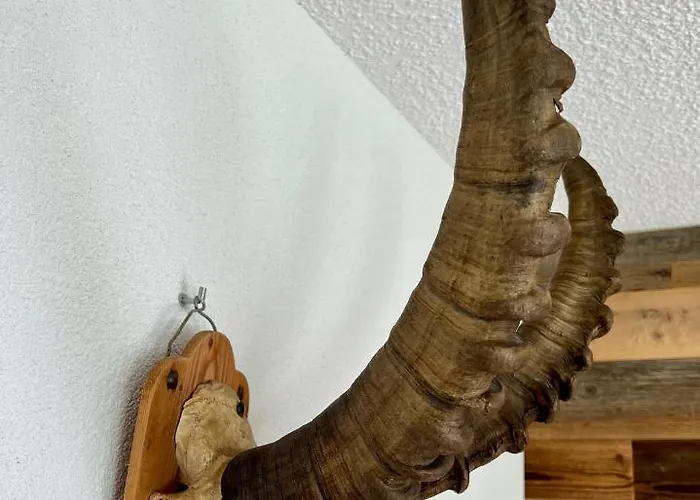 Casa Capricorn * Davos