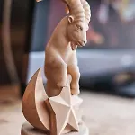 Casa Capricorn