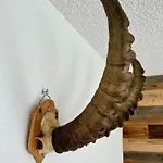 Casa Capricorn * Davos