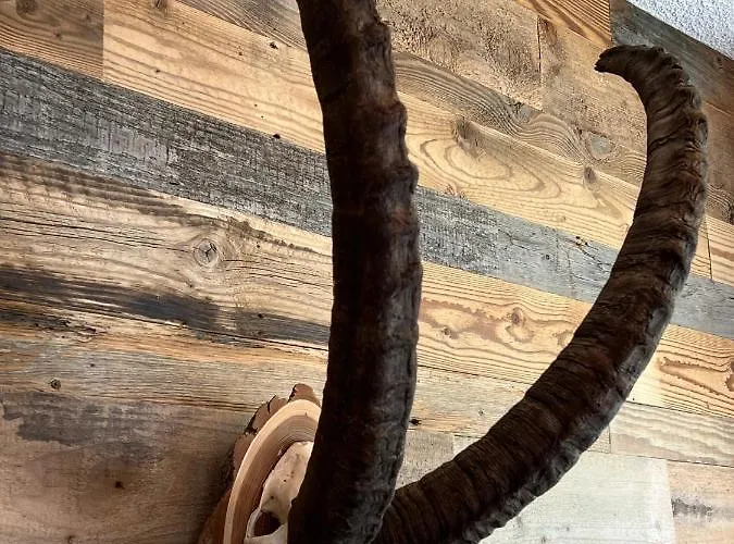 Casa Capricorn Appartamento Davos