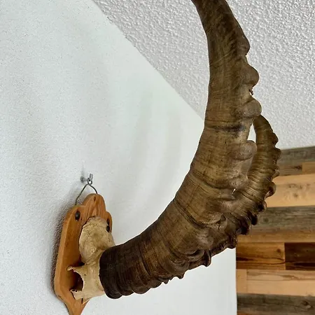 Casa Capricorn * Davos